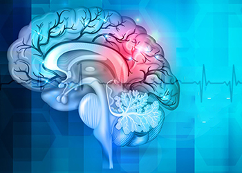 صورة رسم توضيحي للدماغ