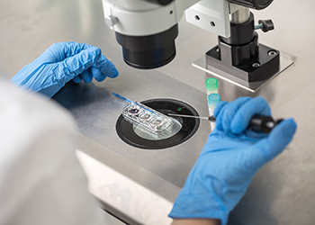 ​The conclusion of 15 Year Old Study TO Assess the Association of (IVF) with Neonatal Outcomes