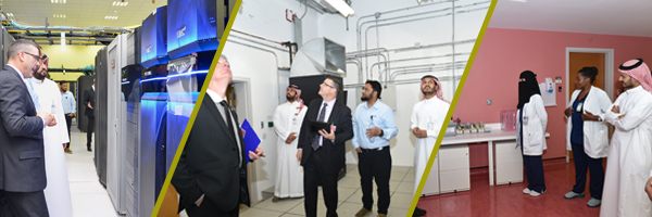 شهادة اعتماد نضج البنية التحتية لتقنية المعلومات - المستوى السادس