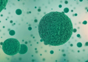 ​4th Stem Cells and Cellular Therapy Conference 2018