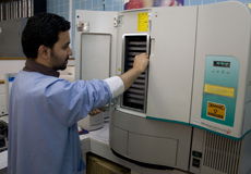 Healthcare worker in the laboratory