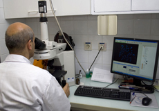 Healthcare worker in the laboratory