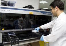 Healthcare worker in the laboratory