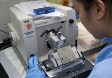 Healthcare worker in the laboratory