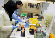 Healthcare workers in the laboratory