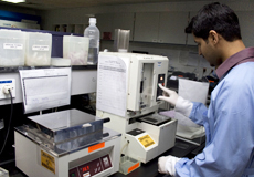 Healthcare worker in the laboratory